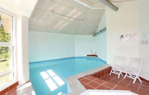 luxus pool ferienhaus dänemark_130-I52527