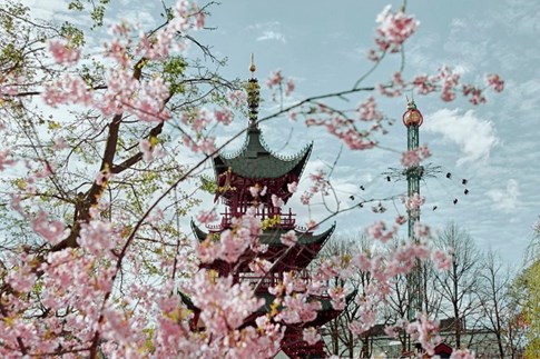Der Chinesische Turm, Kirschbäume und das Himmelsschiff im Tivoli