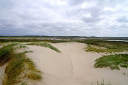 Aussicht von den Dünen an der dänischen Nordseeküste bei Nymindegab