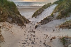 Eine geschnürte Leiter liegt auf einem Weg in den Sanddünen am Strand von Vejers Strand