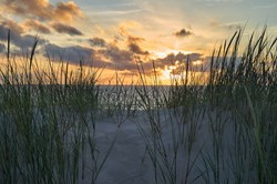 Vejers Strand - Malerischer Sonnenuntergang über der Nordsee mit Strandgras auf einer Düne im Vordergrund