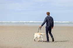 Blavand Strand mit Hund