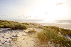 Blick auf die wunderschöne Landschaft mit Strand und Sanddünen in der Nähe von Henne Strand