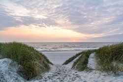 Blick auf eine wunderschöne Landschaft mit Strand und Sanddünen in der Nähe von Henne Strand