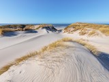 Sand dunes on the west coast of Denmark near Esbjerg