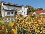 Villa Burgenland 131-ABU150