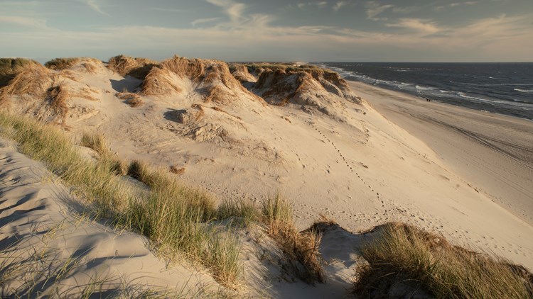 Hvide Sands Denmark