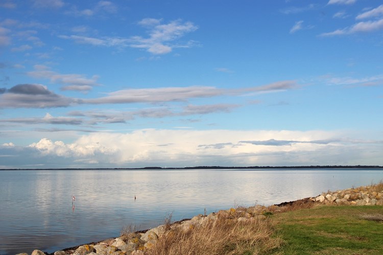 Limfjord Dänemark