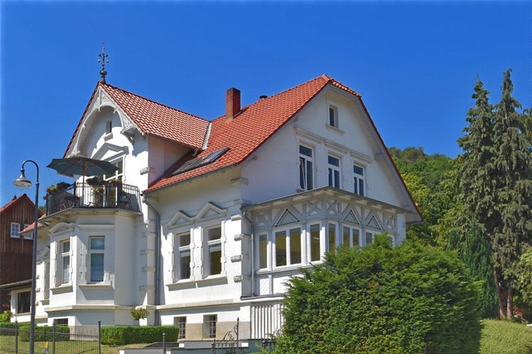 Villa Harz 354-DE-38889-85