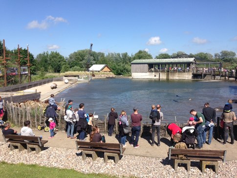 Eine Gruppe am Tierbassin im Westküstenpark & Robbarium St. Peter‑Ording