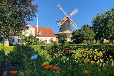 Die Mühle von Højer 