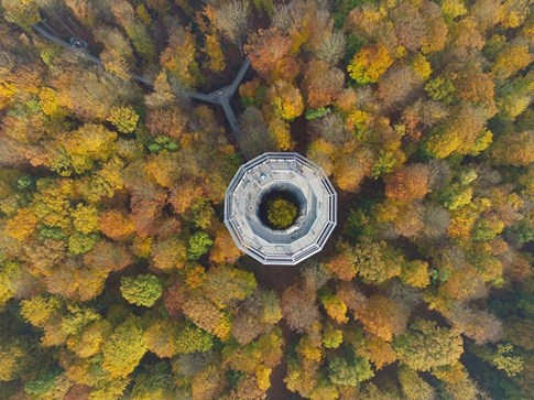 Luftaufnahme des Turms - Naturerbe Zentrum Rügen