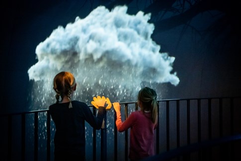 Naturkraft - Erleben Sie den Jahreswechsel am Lebensbaum