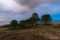 Eine wunderschöne Landschaft am Ringkøbing Fjord in der Nähe von Lönborg