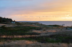 Ringköbing Fjord in der Nähe von Skaven Strand bei Sonnenaufgang mit Bäumen, Gras und Heideblumen am Strand