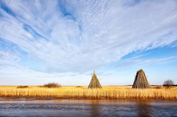 Stauning Hafen, in der Nähe von Halby