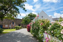 Idyllische Dorfstraße mit alten restgedeckten Häusern in Nordby auf der Nordseeinsel Fanö in Dänemark im Sommer