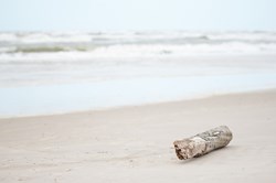 Treibholz am Vejers Strand