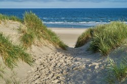 Vejers Strand - Fußspuren auf einem Weg in den Sanddünen der Nordseeküste im malerischen Morgenlicht mit blauem Himmel