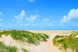 Sandstrand und Dünen der Insel Römö