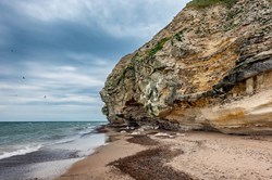 Bird cliffs in Bulbjerg near Lild beach in Thy, Denmark