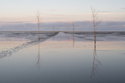 Footpath to Island Mandø under Water, Denmark
