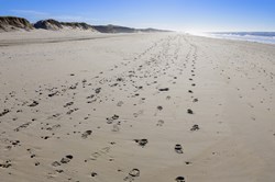 Footprints on a sandy beach near Esbjerg, Denmark