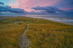 Morgengrauen - Dünenlandschaft an der dänischen Nordseeküste