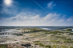 Poles on the beach on Mandoe in the wadden sea, Esbjerg Denmark