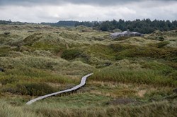 Promenade durch die Dünen in Lille Norge in Saltum in Dänemark