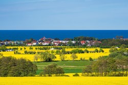 Blick auf Kuehlungsborn mit Rapsfeldern im Vordergrund