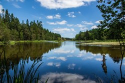 See mit Reflexionen im Kloster in Dänemark