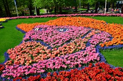 Selbstporträt von vincent van gogh aus tausend Tulpen und Traubenhyazinthen am Keukenhof