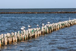 Wadden Sea (UNESCO) National Park, near Mando island