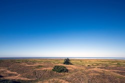 Wadden Sea (UNESCO) National Park, near Mando island
