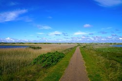 Wanderweg entlang der wunderschönen Dünenlandschaft zwischen Harboøre und Thyborøn an der Nordsee
