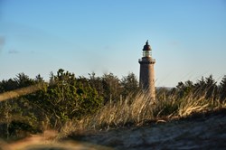 Lodbjerg Leuchtturm umgeben von Wald