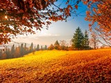 Bunte Herbstlandschaft