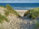 Vejers Strand - Fußspuren auf einem Weg in den Sanddünen der Nordseeküste im malerischen Morgenlicht mit blauem Himmel