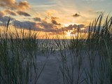 Vejers Strand - Malerischer Sonnenuntergang über der Nordsee mit Strandgras auf einer Düne im Vordergrund