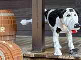 Ein süßer Hund, der täglich die Veranda in LEGOREDO® bewässert