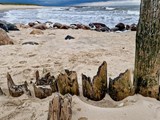Am Strand von Blavand – raue Nordsee, natürliche Formen und faszinierende Küstenlandschaft