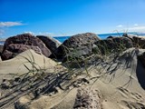 Am Strand von Blavand – faszinierende Naturdetails, weicher Sand und die klare Weite der Nordsee