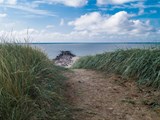 Dünenweg in Blavand – auf direktem Weg zur ruhigen Nordsee und unberührter Natur