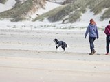 Blavand Strand – gemeinsam unterwegs an der frischen Nordsee, mitten in unberührter Dünenlandschaft