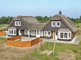 dänemark ferienhäuser blavand_160-A3141