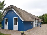 ferienhäuser blavand hund_100-V50127-2016