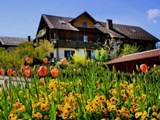 Bayerische Gmain 512-2886588