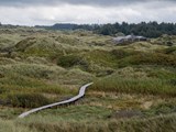 Promenade durch die Dünen in Lille Norge in Saltum in Dänemark