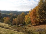 Sankt Georgen im Schwarzwald_512-2718388